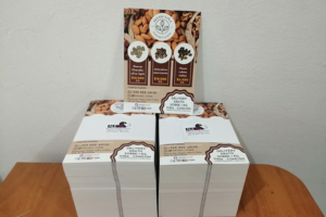 Secos Viña (Viña del Mar)