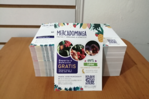 Mercadominga (Valparaíso)