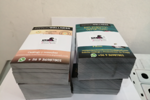 Espacio Wellness (Viña del Mar)