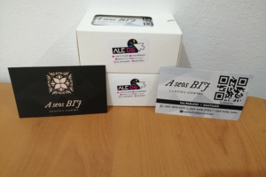 Aseo BFJ (Viña del Mar)