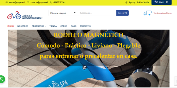 GVG SPA (Sitio web con Carro de Compra) https://gvgspa.cl/